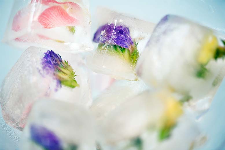 氷の中に入った花の画像