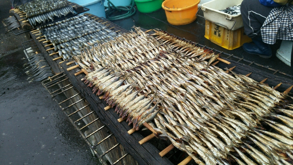 漁師町の燻製保存食 「鯖子のあぶり」 | 食材詳細 | REACH STOCK（リーチストック）