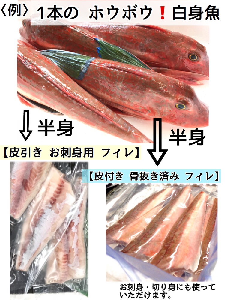 瞬間真空冷凍 フィーレの鮮魚box 5kg 食材詳細 Reach Stock リーチストック