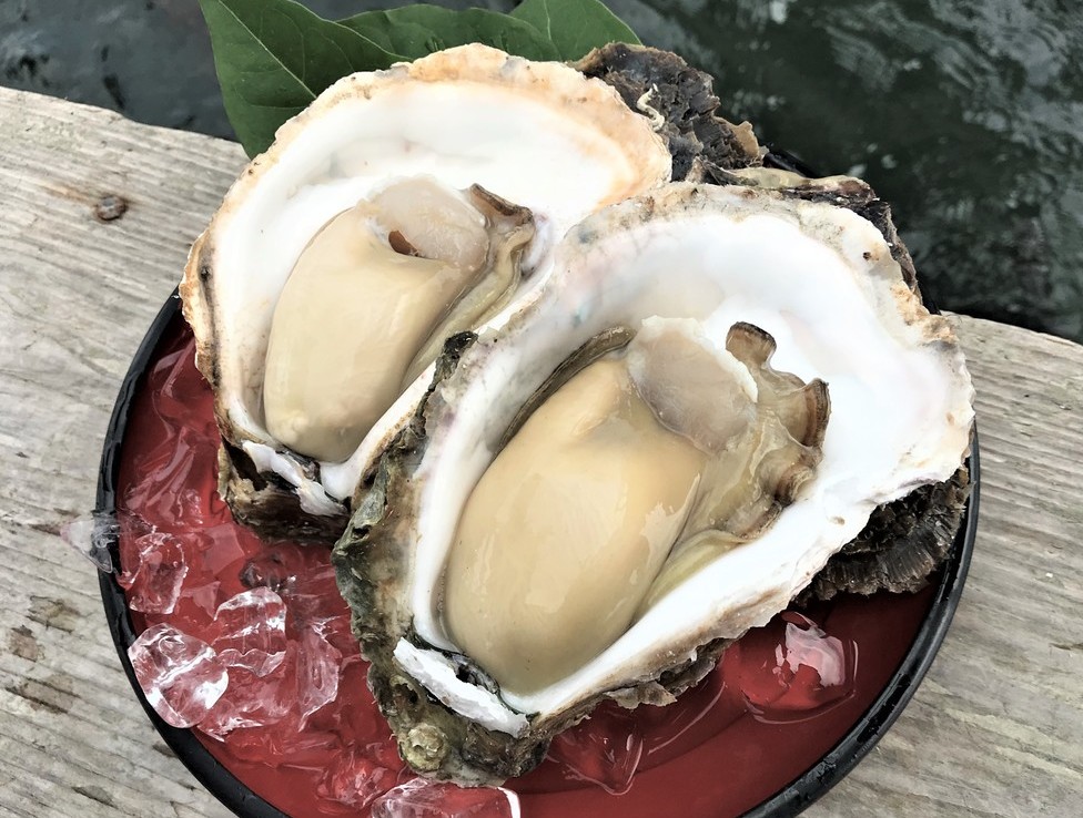 牡蠣 能登 石川県の能登産岩牡蠣の旬なシーズンはいつ？おすすめのお取り寄せや調理方法って！？