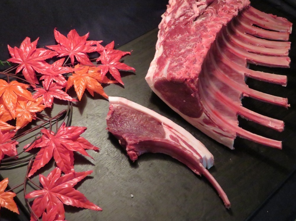 北海道道東産】エゾシカ肉 骨付きロース 1kg/鹿肉（ジビエ） 食材詳細 REACH STOCK（リーチストック）