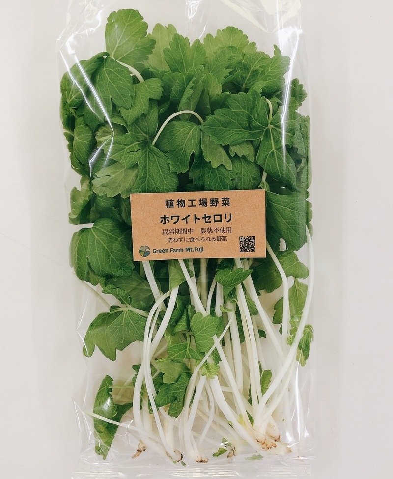 栽培期間中 農薬不使用 植物工場のホワイトセロリ １袋45g以上 食材詳細 Reach Stock リーチストック